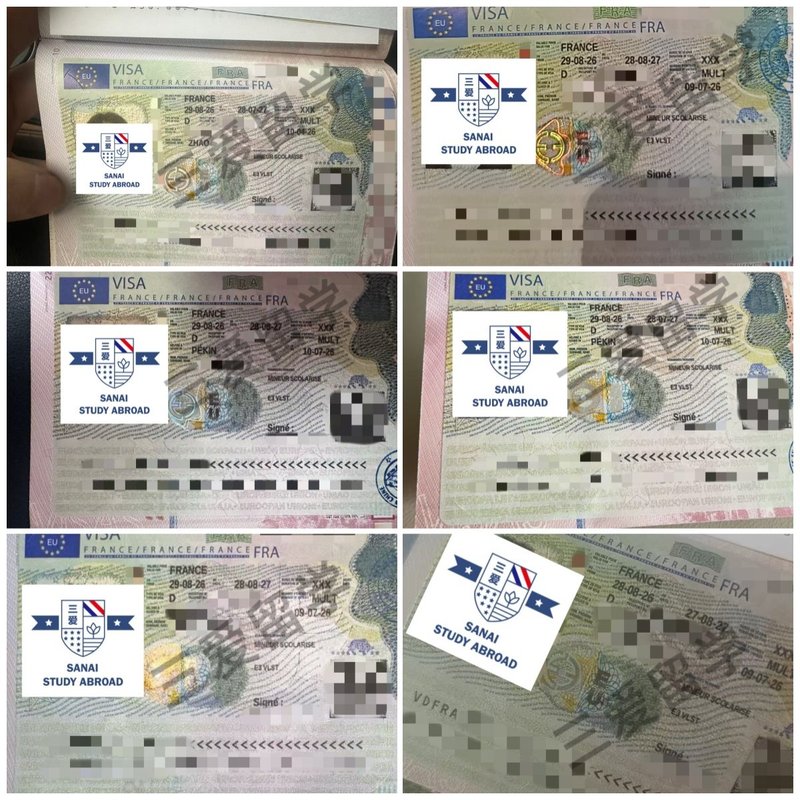 2026年秋季获签记录一，签证个人信息已做隐私处理